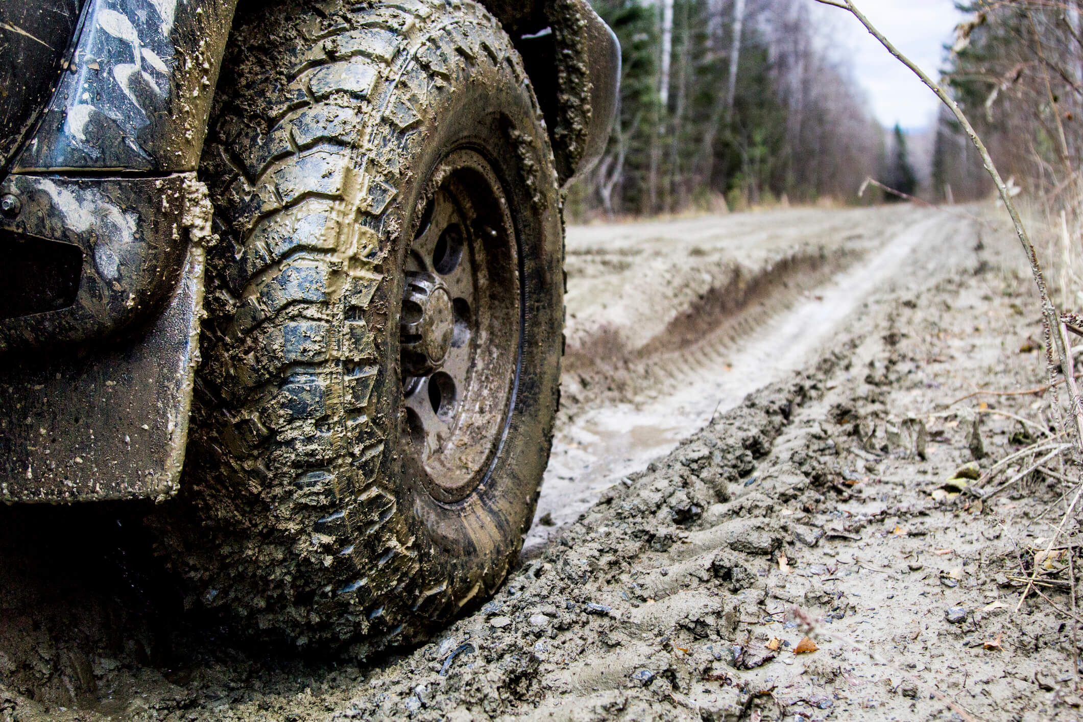 Close-up picture of wheel of car parked in forest