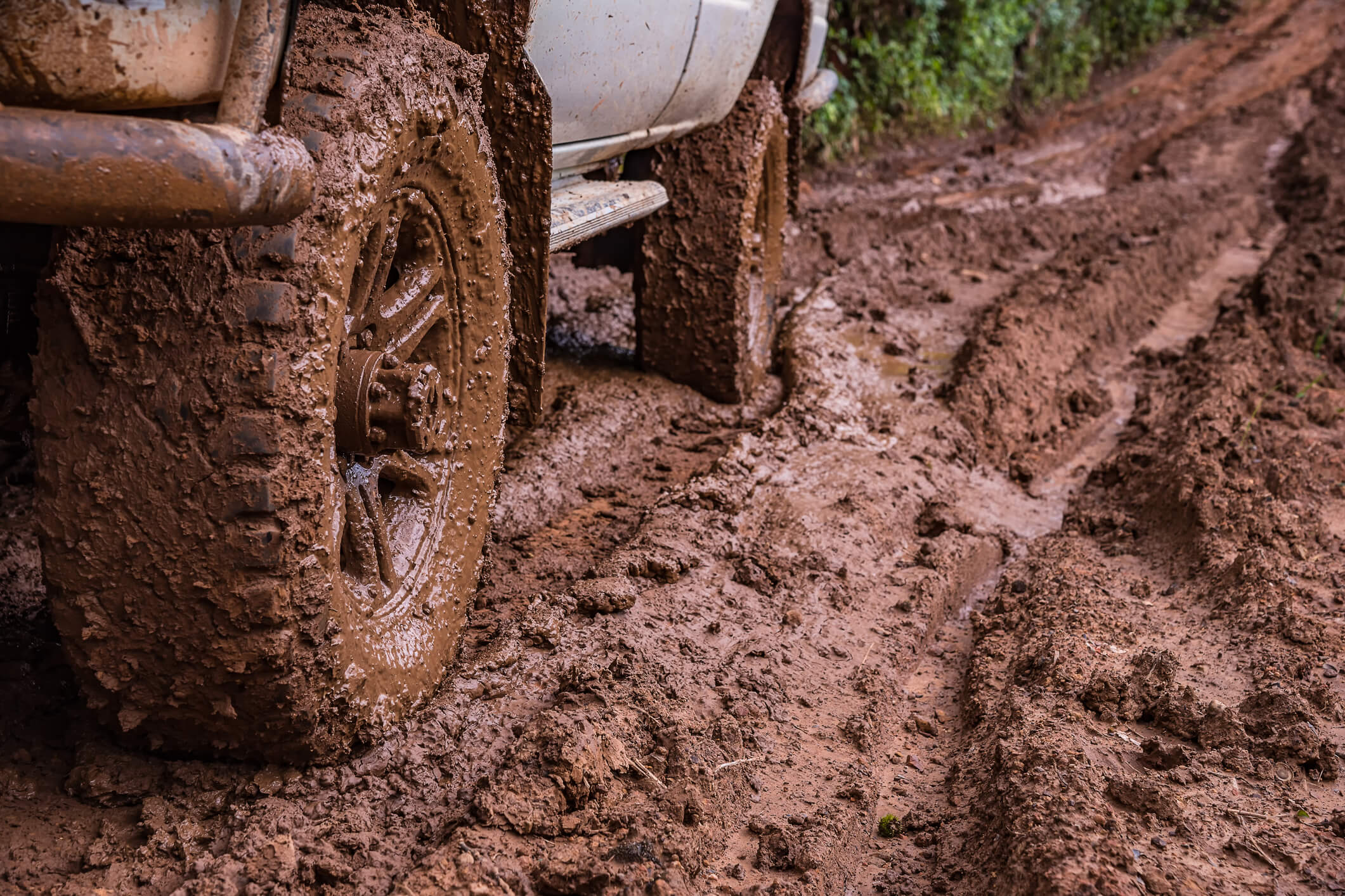 Close-up picture of wheel of car parked in forest