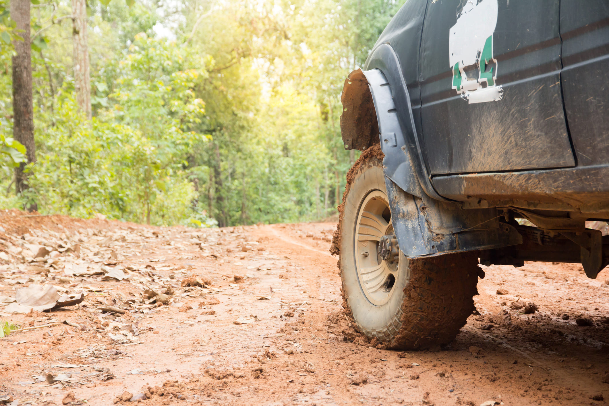 Close-up picture of wheel of car parked in forest